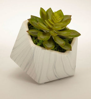 Product Image: F1801WG Decor/Faux Florals/Floral Arrangements