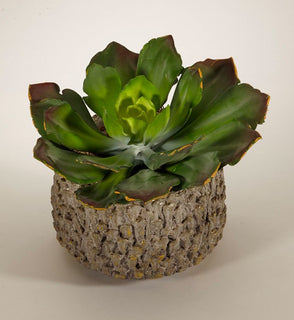 Product Image: F1807CG Decor/Faux Florals/Floral Arrangements