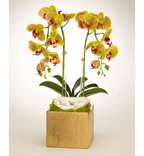 Product Image: F1813GG Decor/Faux Florals/Floral Arrangements