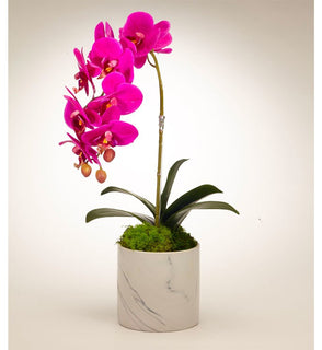 Product Image: F1817WF Decor/Faux Florals/Floral Arrangements
