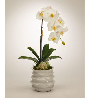 Product Image: S1608WW Decor/Faux Florals/Floral Arrangements