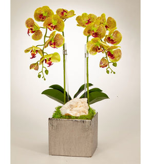 Product Image: S1610SG Decor/Faux Florals/Floral Arrangements