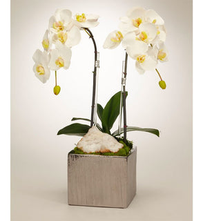 Product Image: S1611SW Decor/Faux Florals/Floral Arrangements