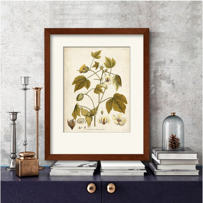 Elegant Botanical I 16" x 20" Framed and Matted Art