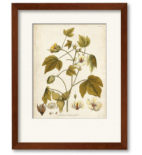 Product Image: WEB-BT117-16x20-FA Decor/Wall Art & Decor/Framed Art
