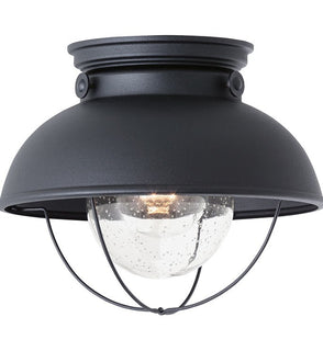 Product Image: 8869-12 Lighting/Outdoor Lighting/Outdoor Flush & Semi-Flush Lights