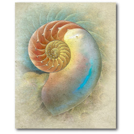 Aquatica I 16" x 20" Gallery-Wrapped Canvas Wall Art