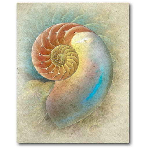 Aquatica I 16" x 20" Gallery-Wrapped Canvas Wall Art