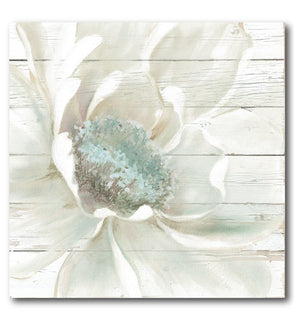 Product Image: WEB-FF1081-30x30 Decor/Wall Art & Decor/Prints