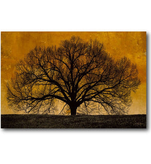 Product Image: WEB-FF380-18x26 Decor/Wall Art & Decor/Prints