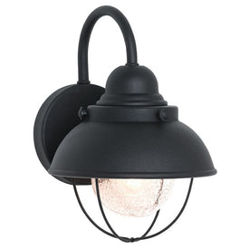 Sebring Single-Light Small Outdoor Wall Lantern