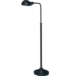 Product Image: Z1505DBZ Lighting/Lamps/Floor Lamps