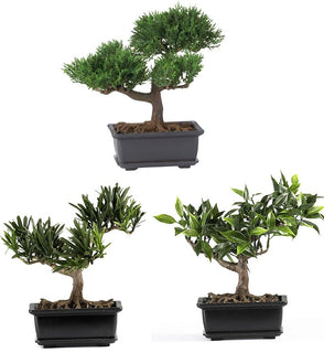 Product Image: 4122 Decor/Faux Florals/Plants & Trees