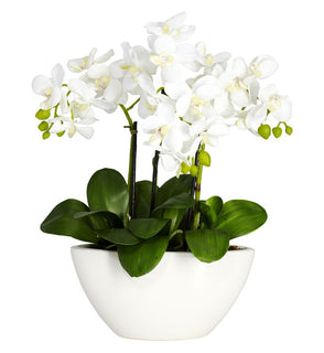 Product Image: 4804 Decor/Faux Florals/Floral Arrangements