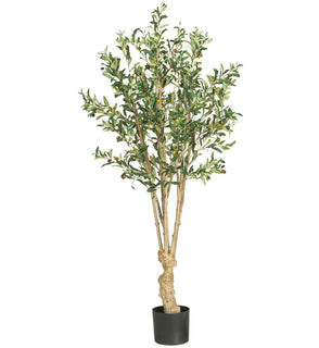 Product Image: 5258 Decor/Faux Florals/Plants & Trees