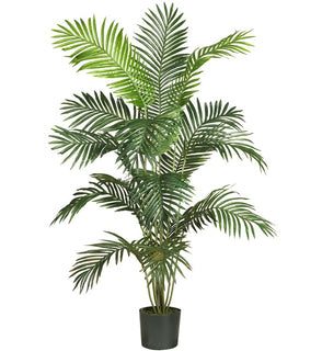 Product Image: 5260 Decor/Faux Florals/Plants & Trees