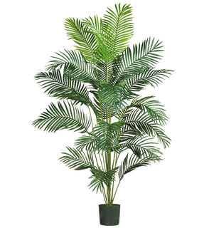 Product Image: 5261 Decor/Faux Florals/Plants & Trees