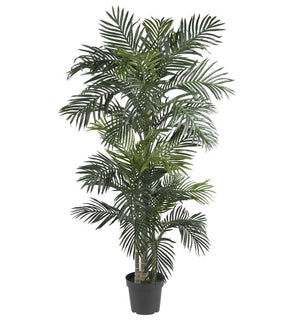 Product Image: 5289 Decor/Faux Florals/Plants & Trees