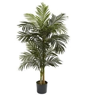 Product Image: 5358 Decor/Faux Florals/Plants & Trees