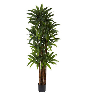 Product Image: 5403 Decor/Faux Florals/Plants & Trees