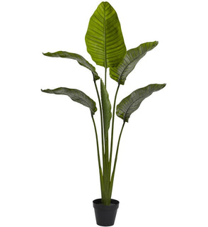 Product Image: 5445 Decor/Faux Florals/Plants & Trees