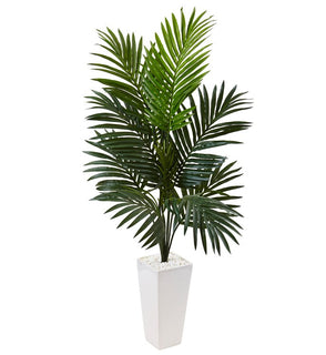 Product Image: 5996 Decor/Faux Florals/Plants & Trees