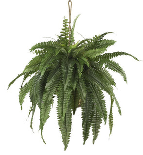 Product Image: 6774 Decor/Faux Florals/Plants & Trees