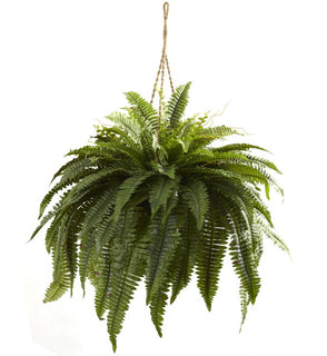 Product Image: 6788 Decor/Faux Florals/Plants & Trees