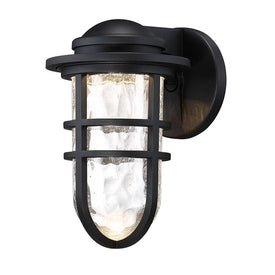 Steampunk Single-Light 9" LED Indoor/Outdoor Wall Light 3000K