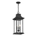 5-453-BK Lighting/Outdoor Lighting/Outdoor Pendants