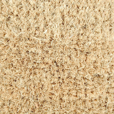 Joy 18" x 30" Vinyl Back Coir Doormat