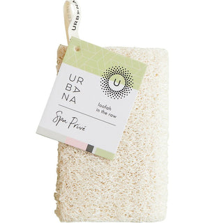 Product Image: 17516LR Bathroom/Bathroom Accessories/Back Brushes