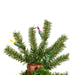 A805142 Holiday/Christmas/Christmas Trees