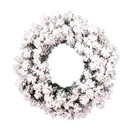 20" Unlit Flocked Alaskan Pine Artificial Christmas Wreath