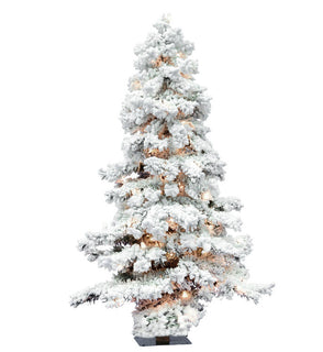 Product Image: A806261 Holiday/Christmas/Christmas Trees