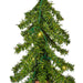 A805131LED Holiday/Christmas/Christmas Trees
