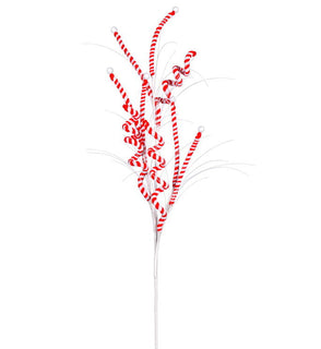 Product Image: QG205026 Holiday/Christmas/Christmas Artificial Flowers and Arrangements