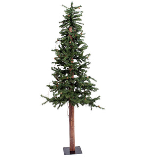 Product Image: A807260 Holiday/Christmas/Christmas Trees