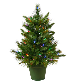 Product Image: A118226LED Holiday/Christmas/Christmas Trees