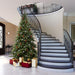 A860955 Holiday/Christmas/Christmas Trees