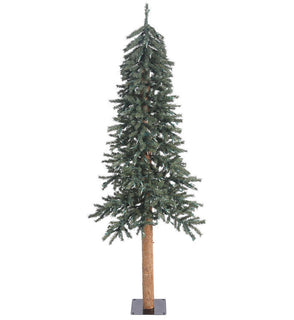 Product Image: B907360 Holiday/Christmas/Christmas Trees