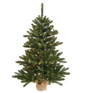 Product Image: B160431LED Holiday/Christmas/Christmas Trees