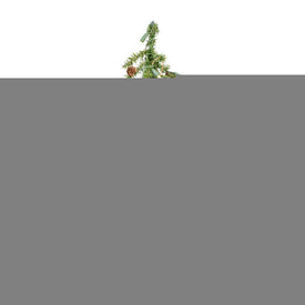 2' Pre-Lit Alpine Artificial Christmas Tree with Warm White Dura-Lit LED Lights