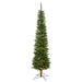 A103676LED Holiday/Christmas/Christmas Trees
