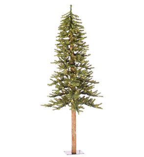 Product Image: A805161 Holiday/Christmas/Christmas Trees