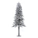 A807460 Holiday/Christmas/Christmas Trees