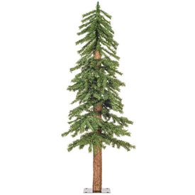 4' Unlit Natural Bark Alpine Artificial Christmas Tree