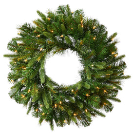 24" Cashmere Artificial Christmas Wreath with 50 Warm White LED Lights
