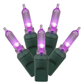 100-Count Purple Italian LED Christmas Light Strand on 34' Green Wire