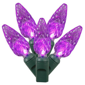 100-Count Purple C6 LED Christmas Light Strand on 34' Green Wire